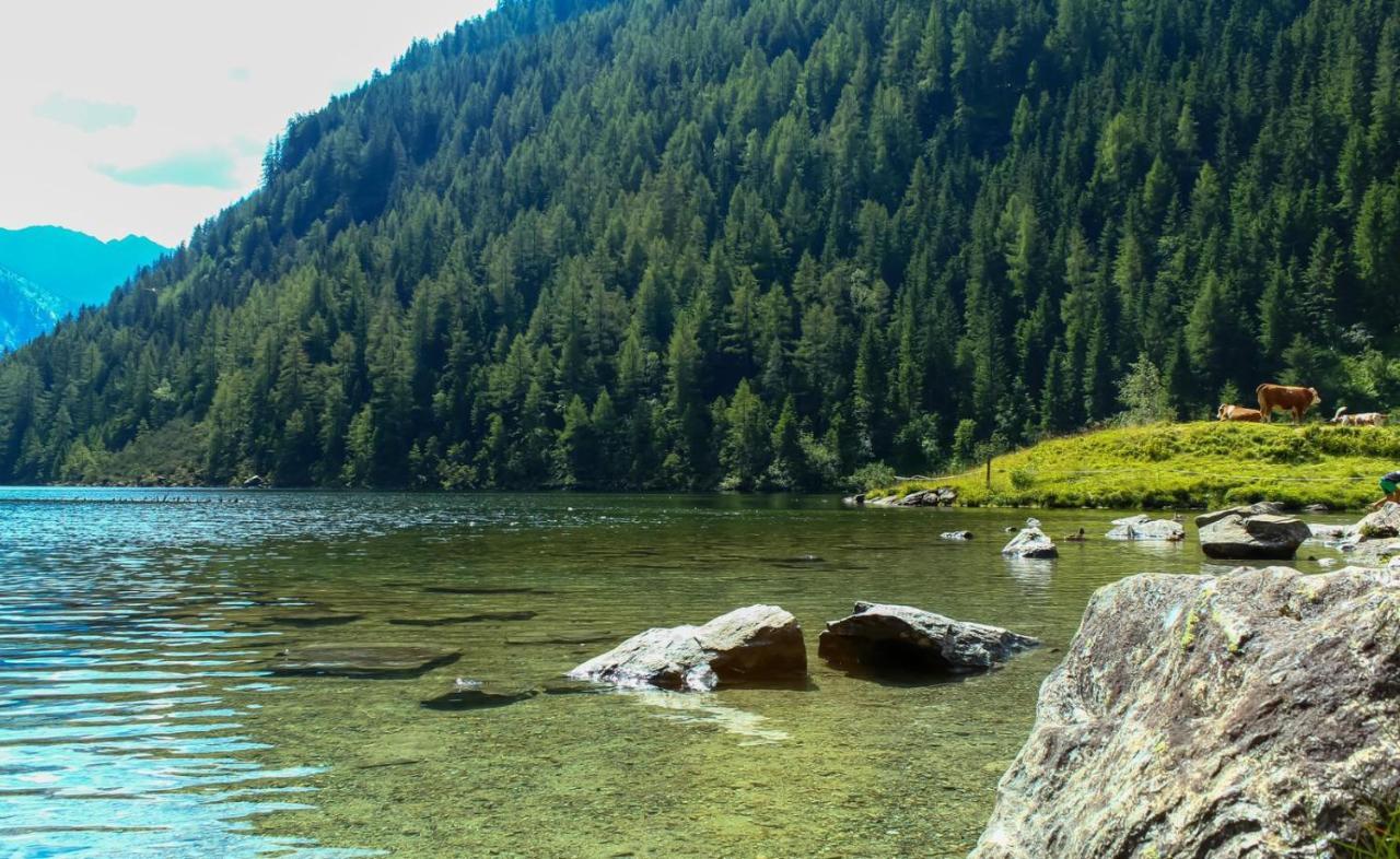 Ferienwohnungen Reinbacher - Primps Schladming Luaran gambar